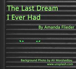 The Last Dream I Ever Had, by Amanda Flieder