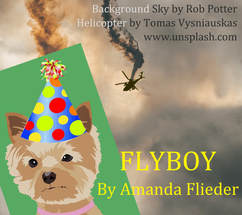 Flyboy, by Amanda Flieder
