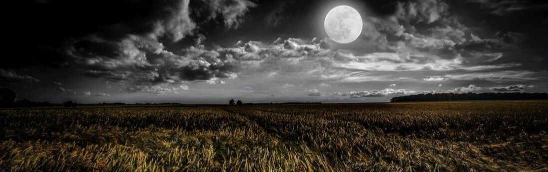 Silver moon on a dark night above a field light painted to show yellowed grasses
