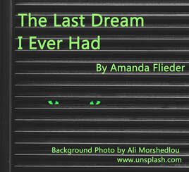 The Last Dream I Ever Had - Amanda Flieder