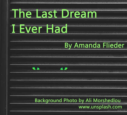 The Last Dream I Ever Had, by Amanda Flieder