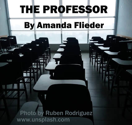 The Professor, by Amanda Flieder