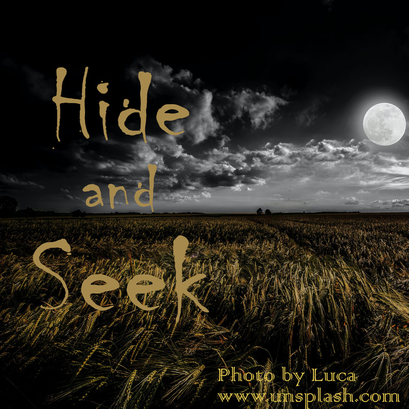 Hide and Seek by Amanda Flieder