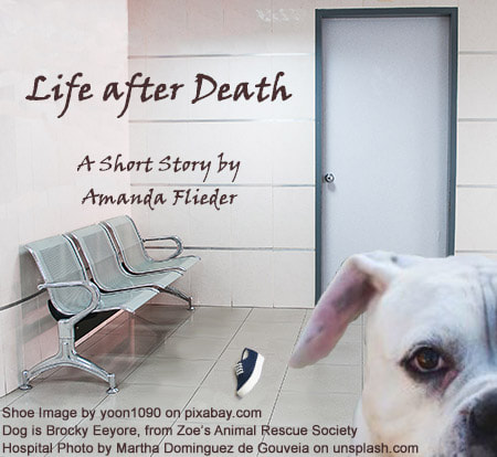 Life after Death, by Amanda Flieder