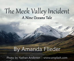 The Meek Valley Incident by Amanda Flieder